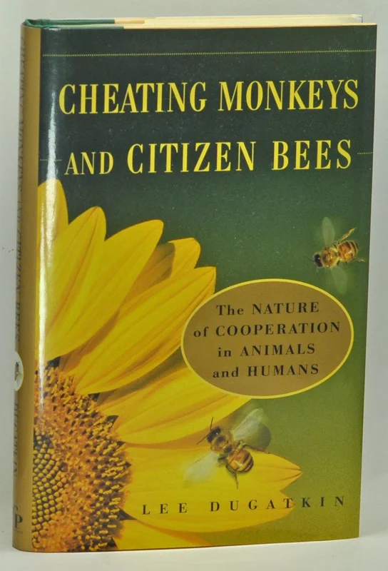 roundaboutbookstore-11599212