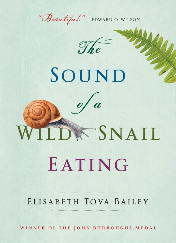 roundaboutbookstore-11604233