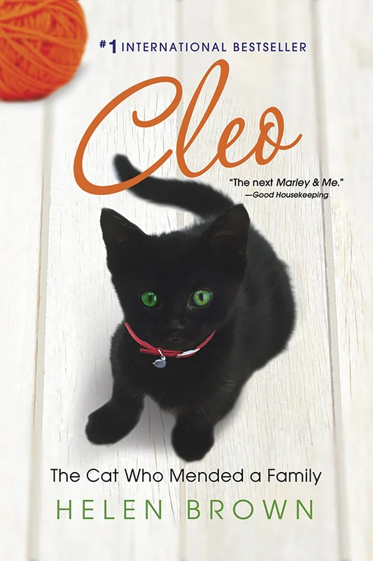 roundaboutbookstore-11614961