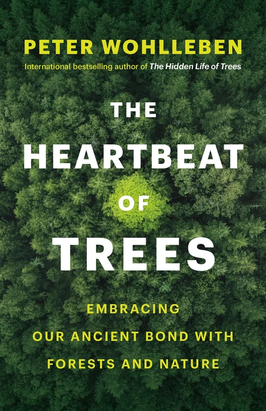roundaboutbookstore-11620672