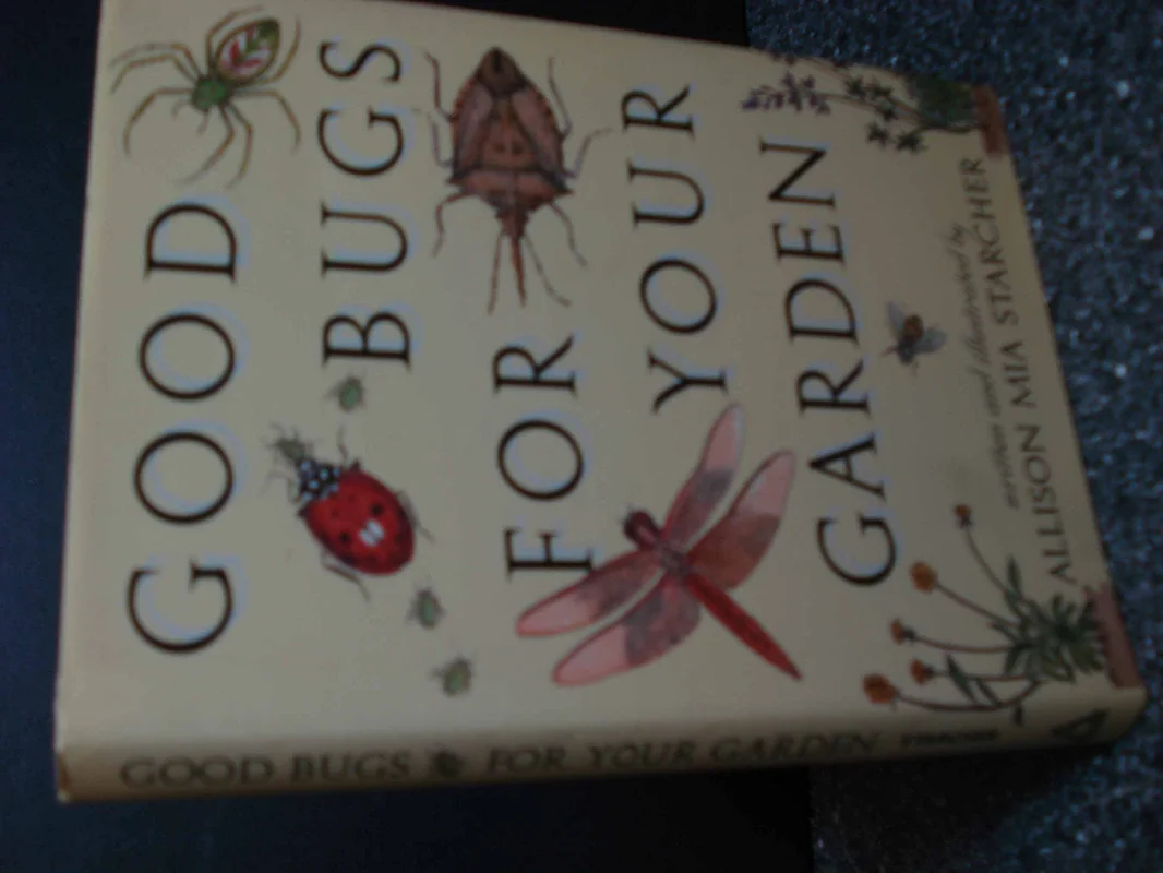 roundaboutbookstore-11635551