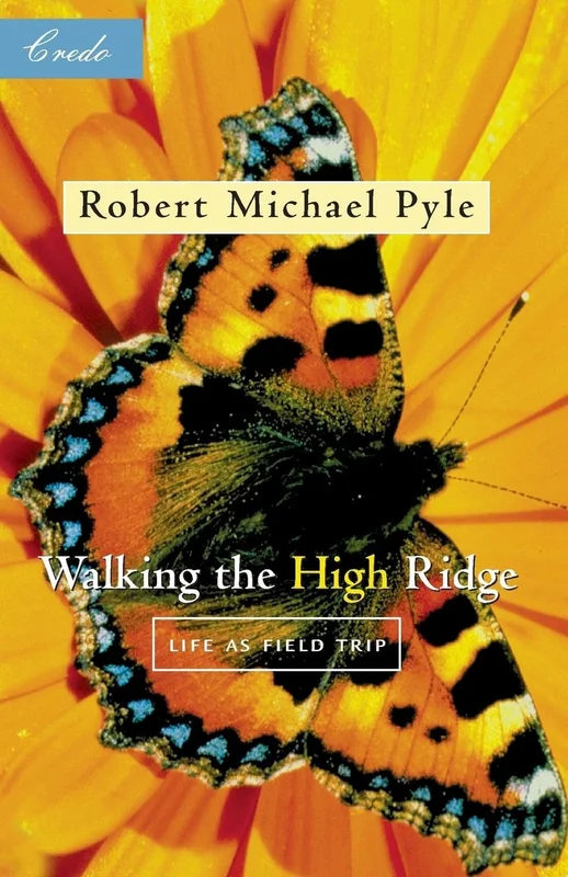 roundaboutbookstore-11659503