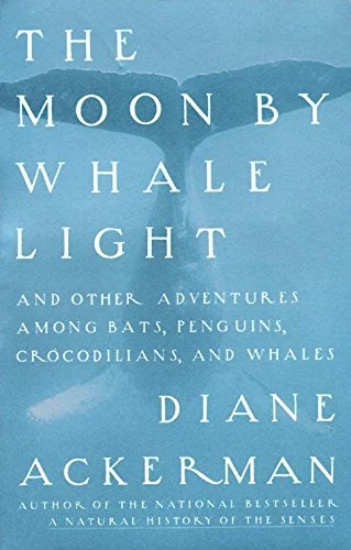 roundaboutbookstore-11659845