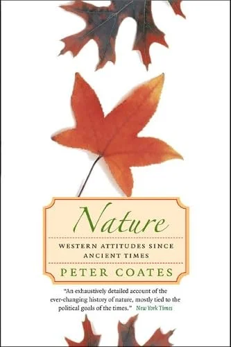 roundaboutbookstore-11660169