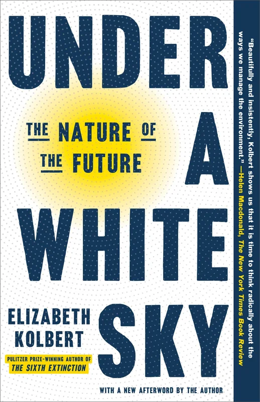 roundaboutbookstore-11669607