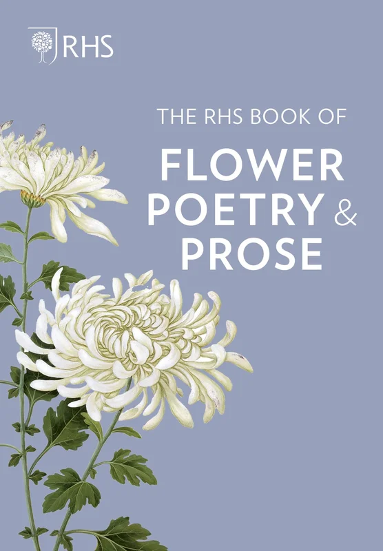 roundaboutbookstore-11769126