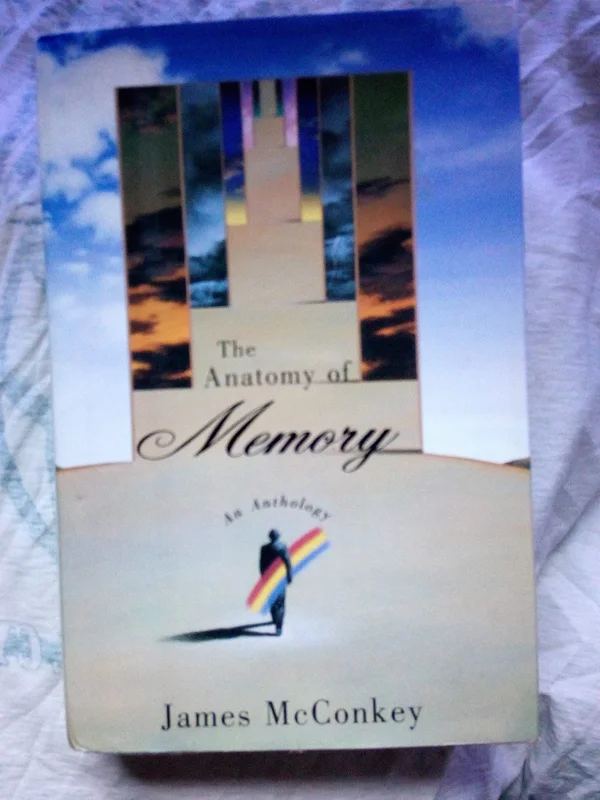 roundaboutbookstore-11784100