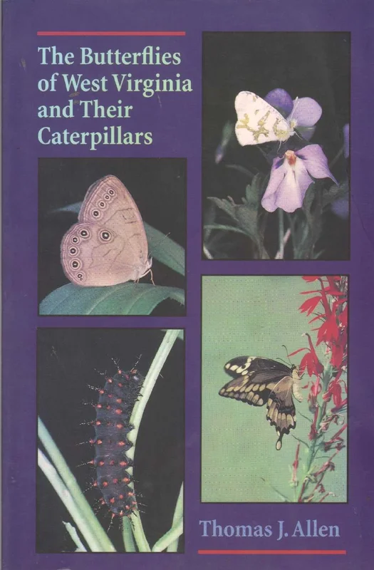 roundaboutbookstore-11817073