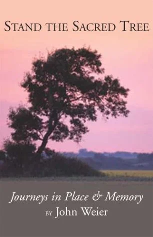 roundaboutbookstore-11891710