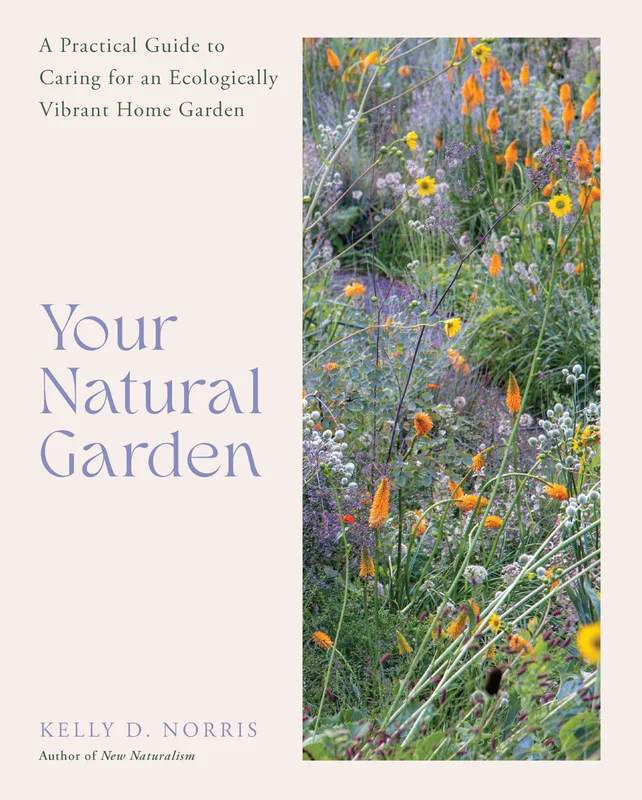 roundaboutbookstore1065235