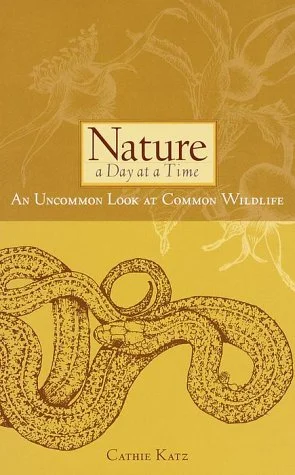 roundaboutbookstore1231612