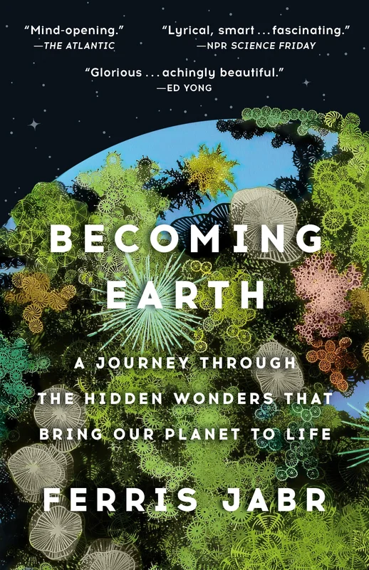roundaboutbookstore1238934