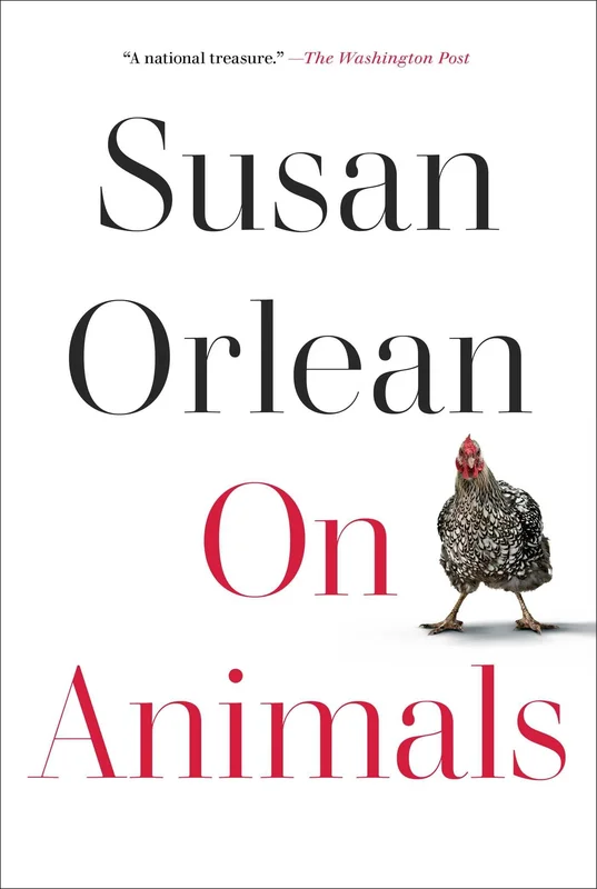 roundaboutbookstore1275078