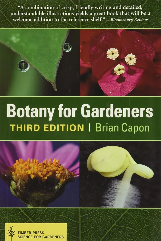 roundaboutbookstore1279476