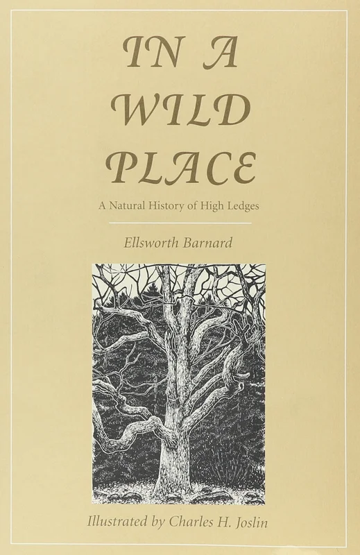 roundaboutbookstore1301898