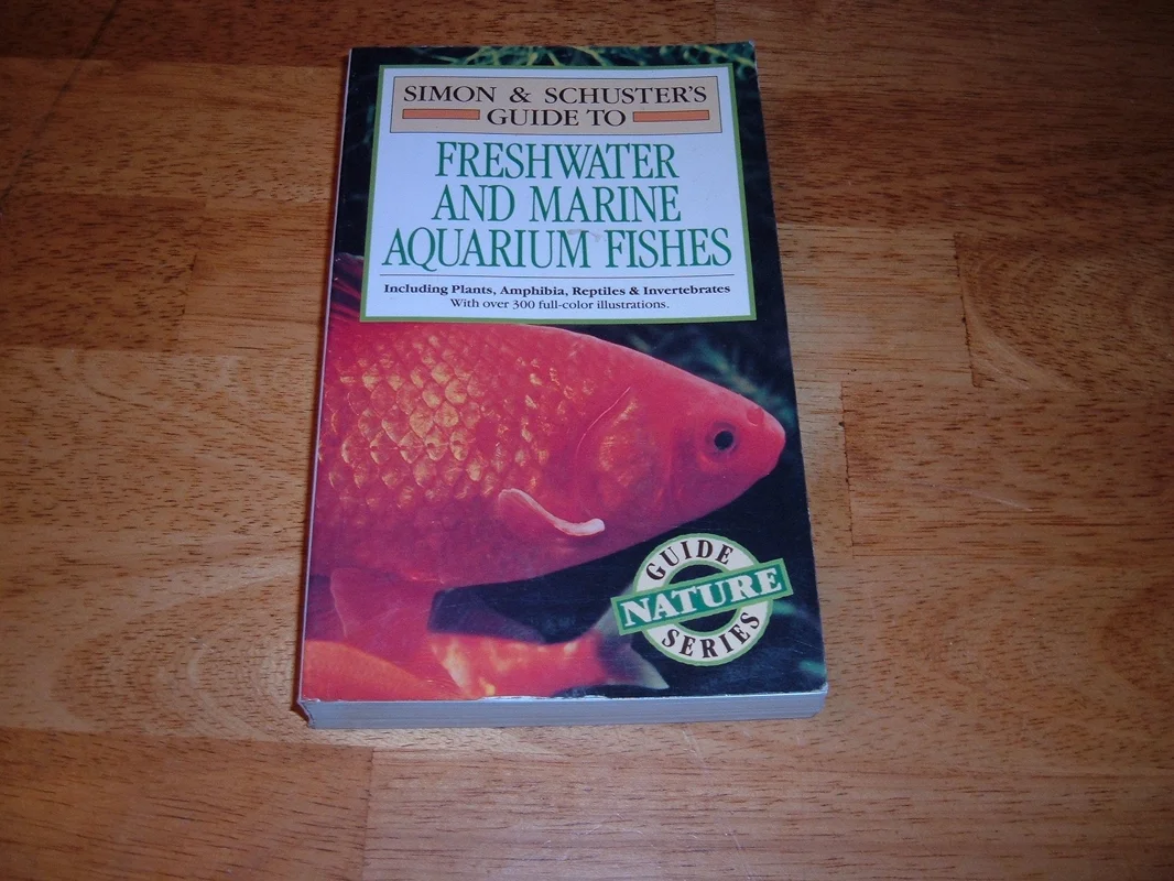 roundaboutbookstore1373928
