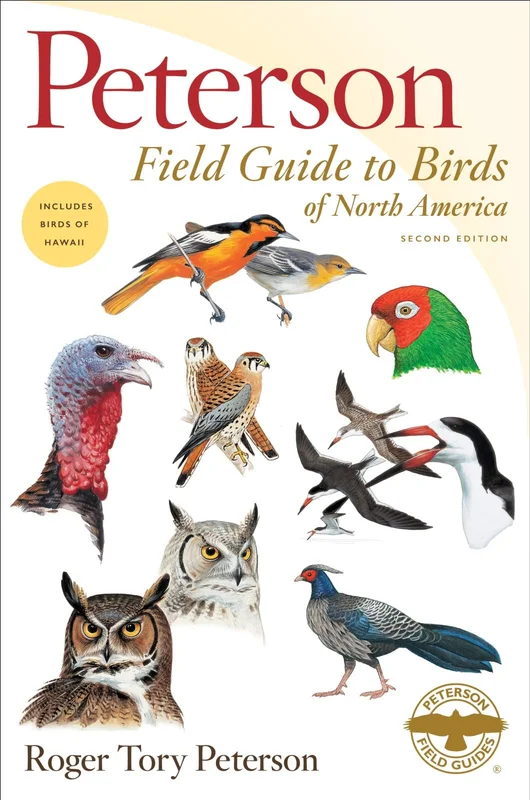 roundaboutbookstore953187