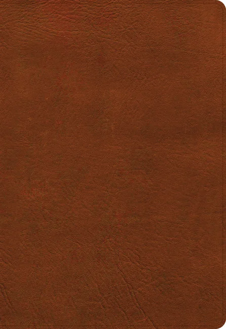 worldcaribbeanbooks-11176771