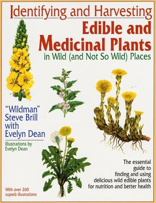 worldcaribbeanbooks1078980